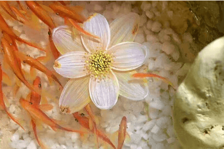 樹脂畫，滲透劑